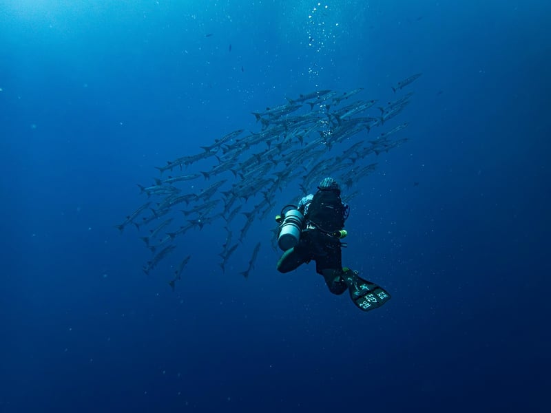 Underwater Diving